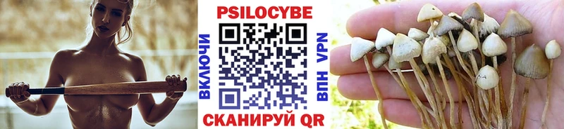 Галлюциногенные грибы MAGIC MUSHROOMS  Медынь 